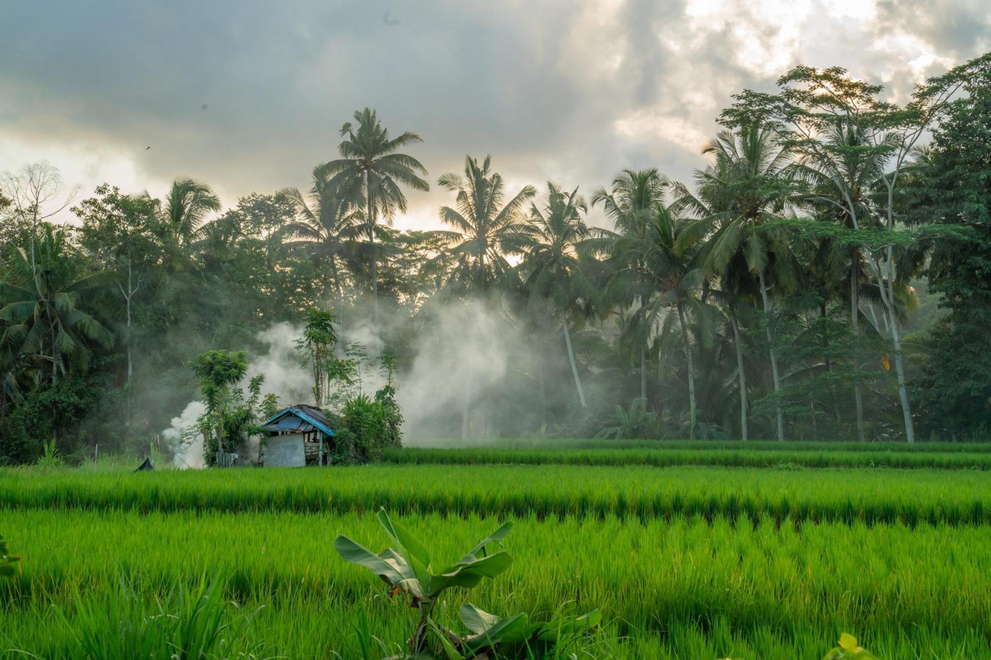 Kampung Uma Dawa Villas And Spa Ubud Extérieur photo