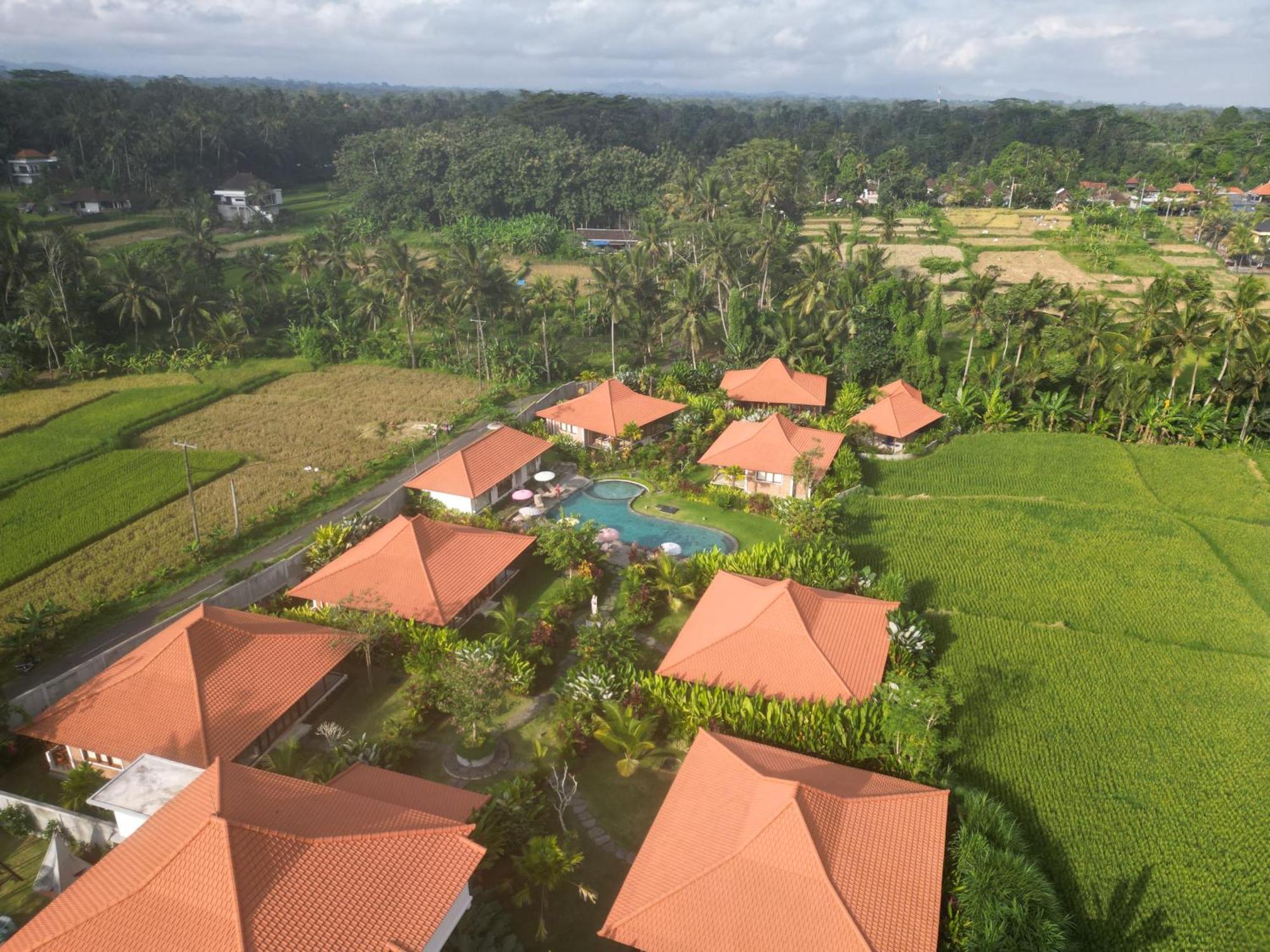 Kampung Uma Dawa Villas And Spa Ubud Extérieur photo