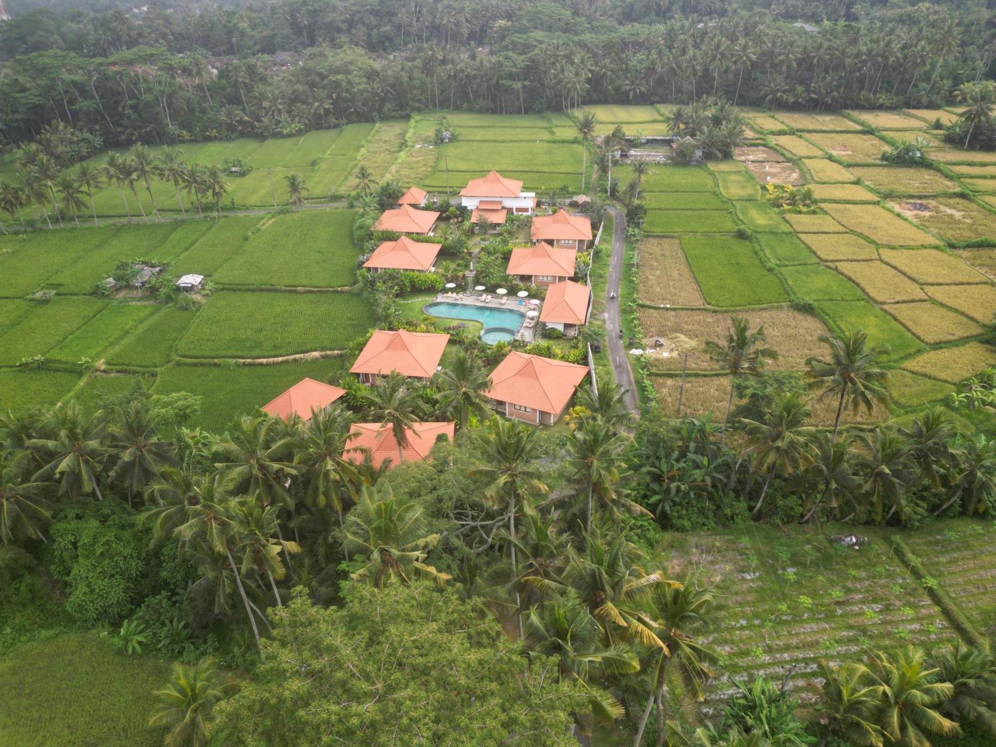 Kampung Uma Dawa Villas And Spa Ubud Extérieur photo